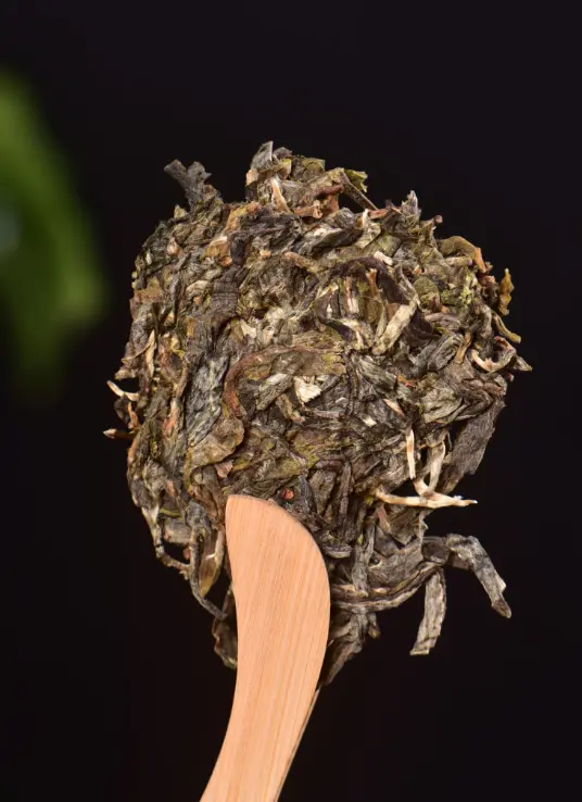 Yunnan SearchingTea Down Water Yi Wu Mountain Raw Pu Erh Tea Cake