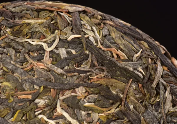 Yunnan SearchingTea Tong Qing River Yi Wu Mountain Raw Pu erh Tea Cake