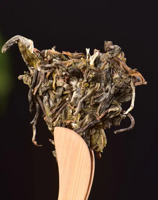 Yunnan SearchingTea Tong Qing River Yi Wu Mountain Raw Pu erh Tea Cake