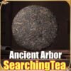 Yunnan MengHai SearchingTea Classic Lao Ban Zhang Gu Shu Old Arbor Raw Pu Erh Tea Cake