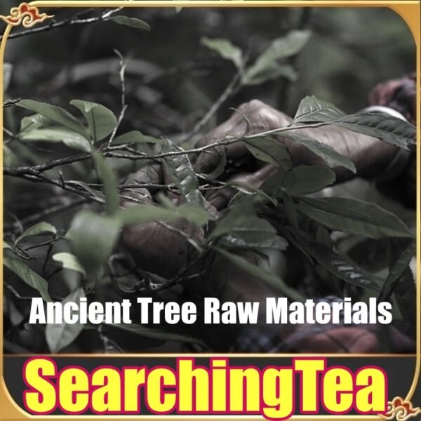 Yunnan MengHai SearchingTea Classic Lao Ban Zhang Gu Shu Old Arbor Raw Pu Erh Tea Cake