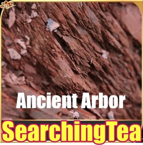 Yunnan SearchingTea Gong Ting Pu erh in Tangerine Man Song Raw Pu Erh Tea Cake