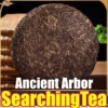 Yunnan Mengku SearchingTea "Iceland" Autumn Bing Dao Lao Zhai Ancient Arbor Raw Pu erh Tea Cake