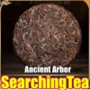 Yunnan SearchingTea Classic Yellow "Lao Man'e Old Arbor Raw Pu Erh Tea Cake